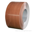 Color Coated Steel Coil Customized